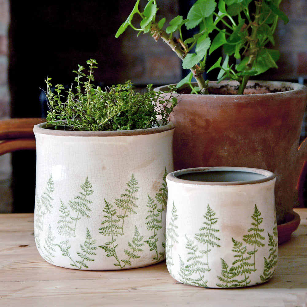 plant pots indoor ceramic Fern Pattern Ceramic Indoor Planter- House Plant Pot – Bowley & Jackson