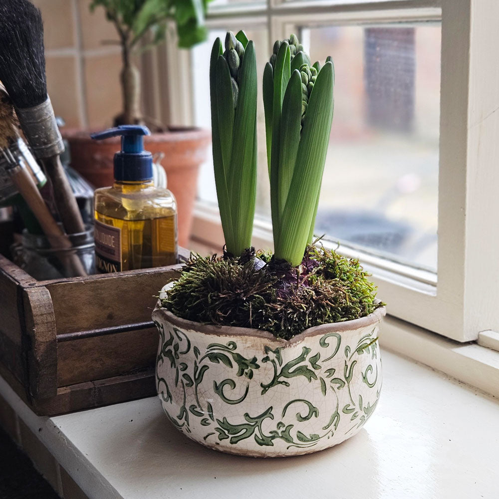 small ceramic pots for indoor plants Ceramic Indoor Plant Pot - House Plant Pot