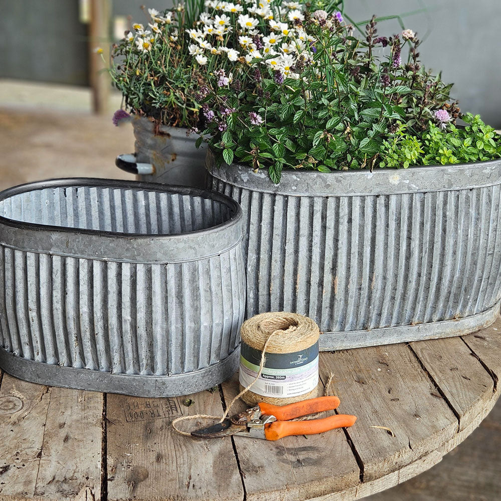 Our Guide to Getting the Most Out of Your Dolly Tub Planter