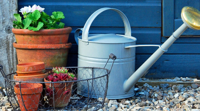 Wtring can and plant pots next to a wooden shed on a gravelled yard