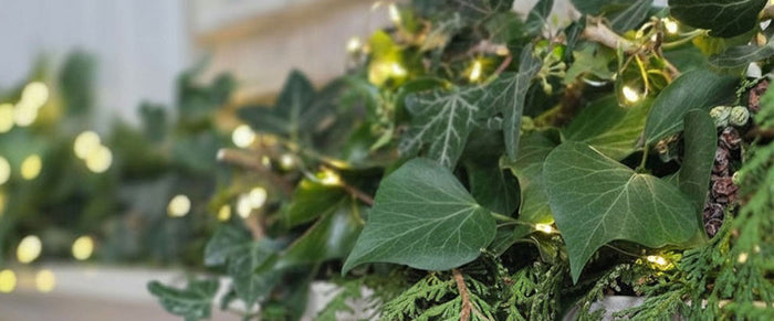 Christmas foliage on a cream mantelpiece with blurred twinkling fairy lights
