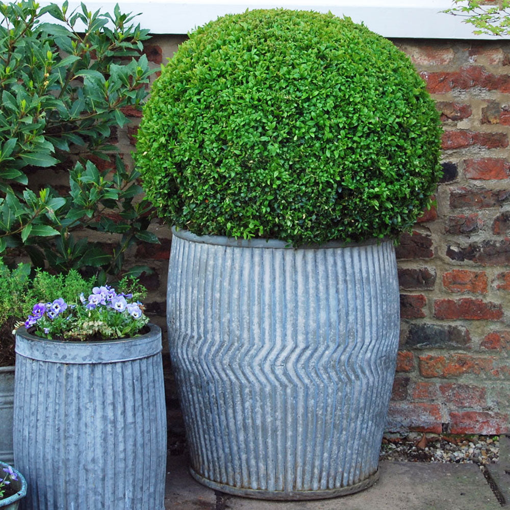 Classic antique design washing dolly tub garden planter