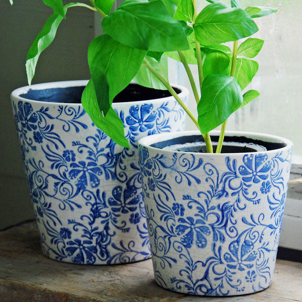 Large and small blue Barnsley indoor plant pots planted with basil