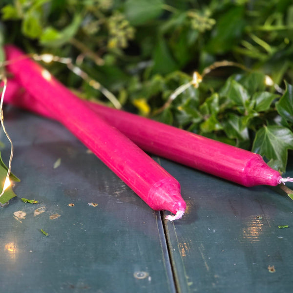 Two cerise pink Danish dinner candles next to Christmas foliage.