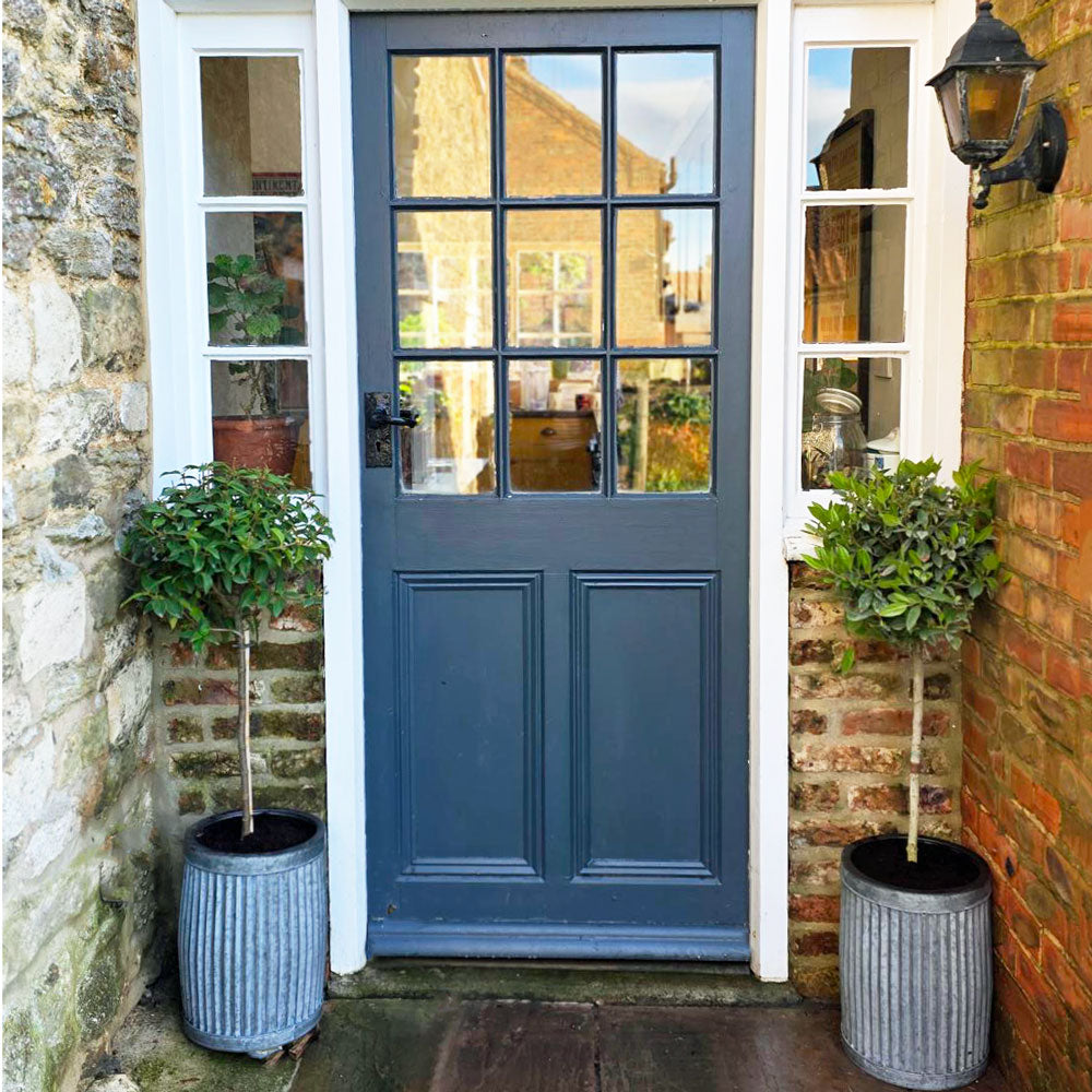 Blue door with glass panels flanked by two potted plants on a stone path.