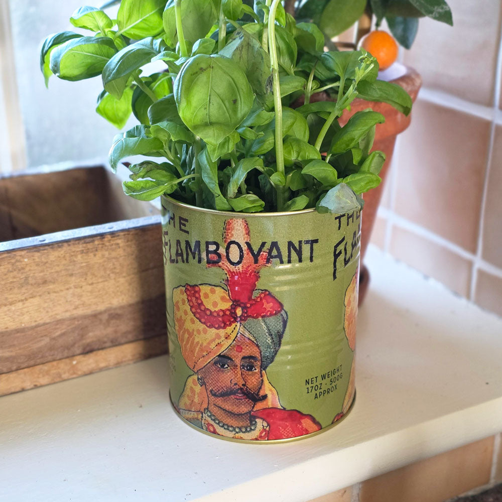 Flamboyant Indian Tin Can Planter