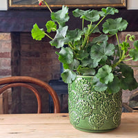 A green potted geranium plant with round leaves sits on a wooden table in front of a brick fireplace. The pot is textured with embossed floral patterns and is shown in a cozy indoor setting.