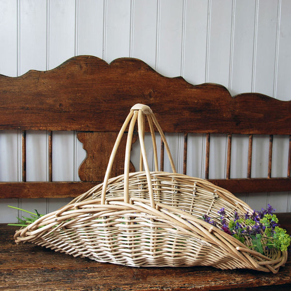 Large bleached willow garden basket trug on a bench containing salvia and Alchemilla Mollis.