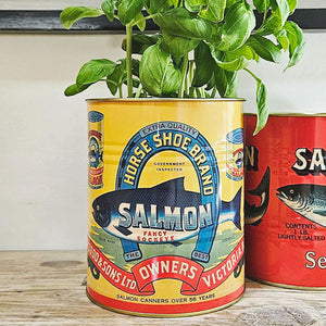 Large salmon tin can plant pot