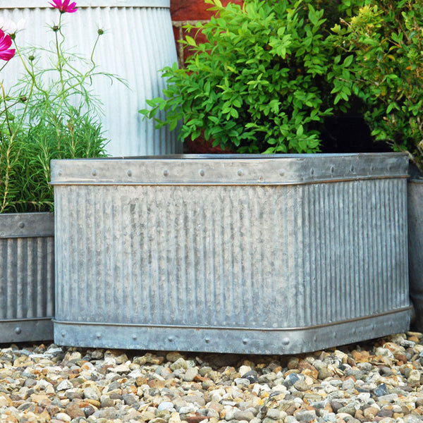 Decorative metal planter with plants and flowers on a pebble ground