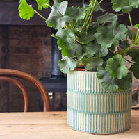 A green leafy plant in a ribbed light green ceramic pot, placed on a wooden table in front of a rustic brick fireplace and wooden chair.