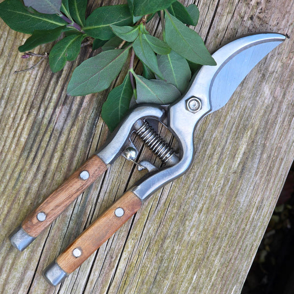 Garden pruners with wooden handles on a wooden surface with green leaves.