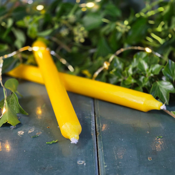 Lemon coloured long Danish dinner candles on a table surrounded by foliage.