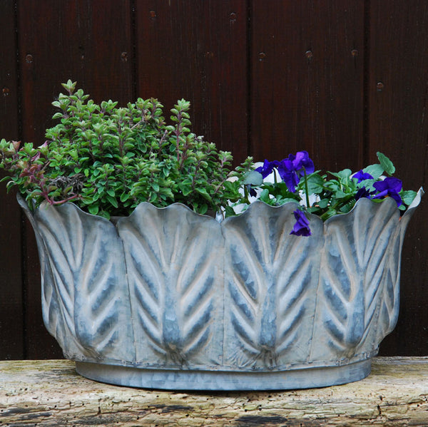 Zinc leaf shaped vintage style garden planter planted with thyme and violas 