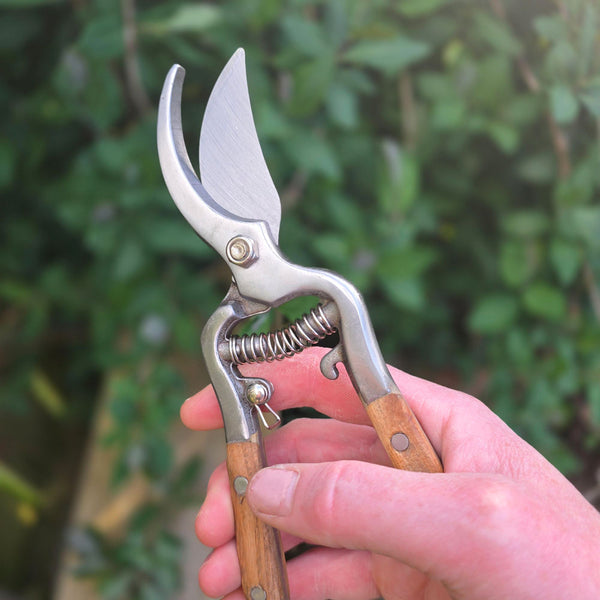 Hand holding a pair of garden shears with wooden handles against a blurred green background