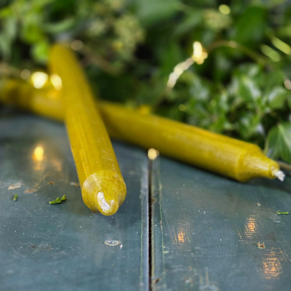Olive green coloured Danish dinner candles surrounded by Christmas lights and foliage.