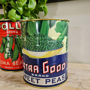 Extra good peas herb plant pot