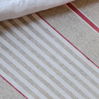 Close up of red striped wipe-clean tablecloth