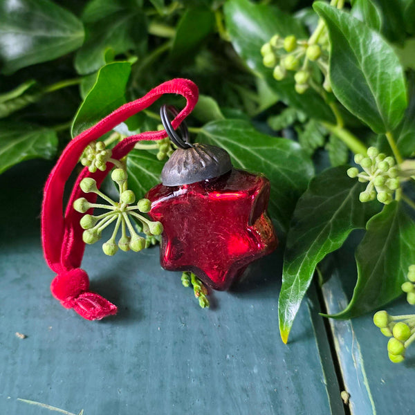 Red glass star-shaped ornament with a pink ribbon on green leaves