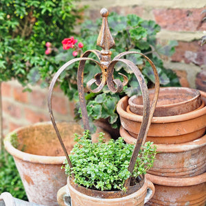 Rusted iron plant crown in a garden