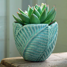 Small green ceramic indoor plant pot