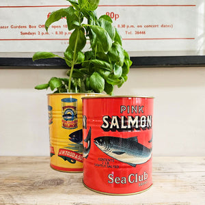 Small red salmon tin can plant pot for herbs