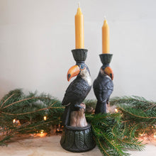 Toucan Candle holders with Christmas lights and foliage.