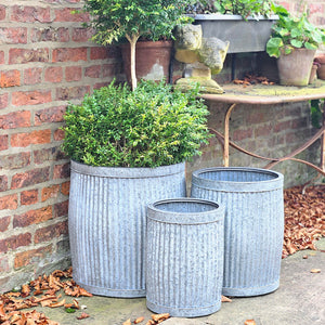 Set of three Dolly planters