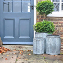 Set of three planters next to a back door