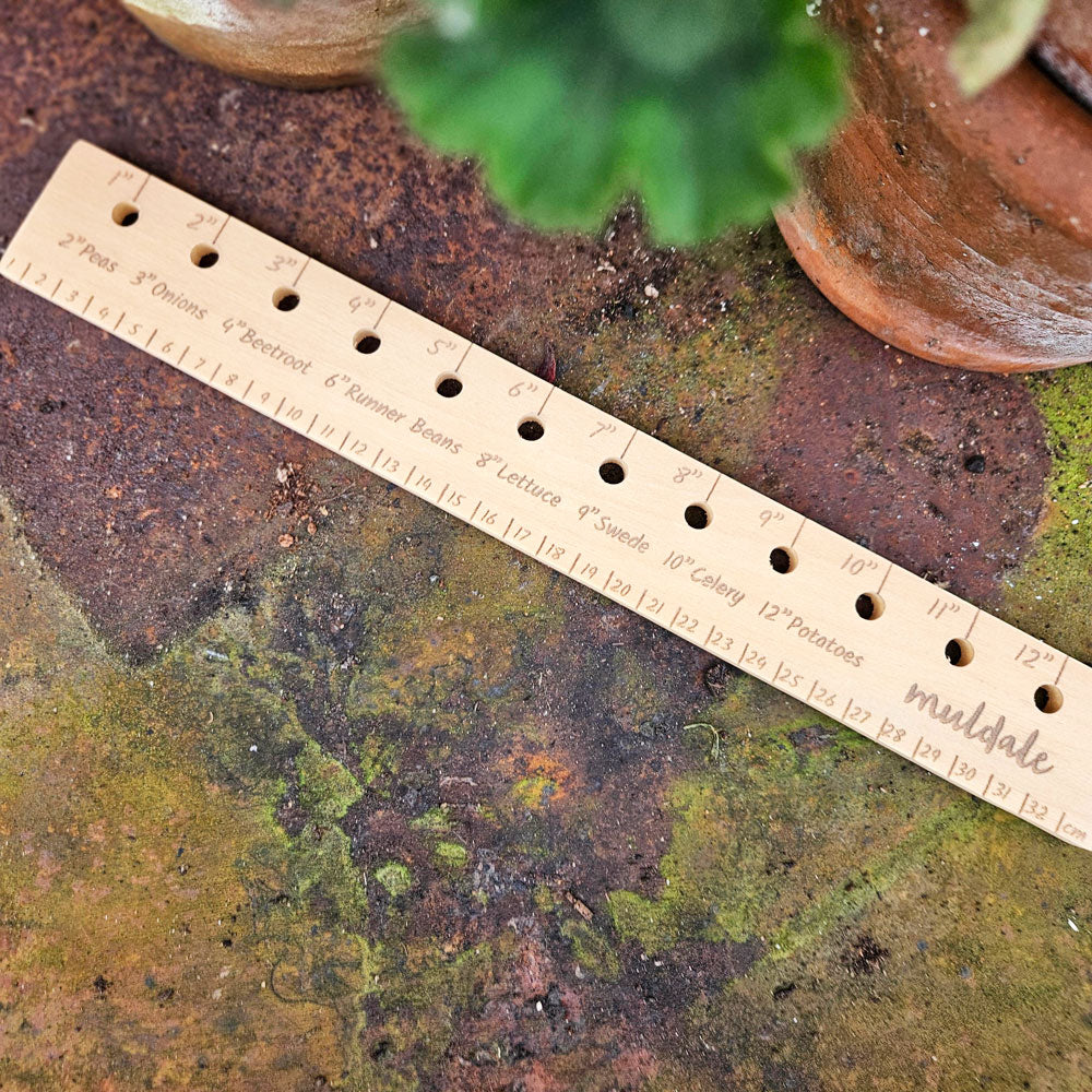 Beechwood Vegetable Ruler - Veg ruler - Vegetable seed spacer