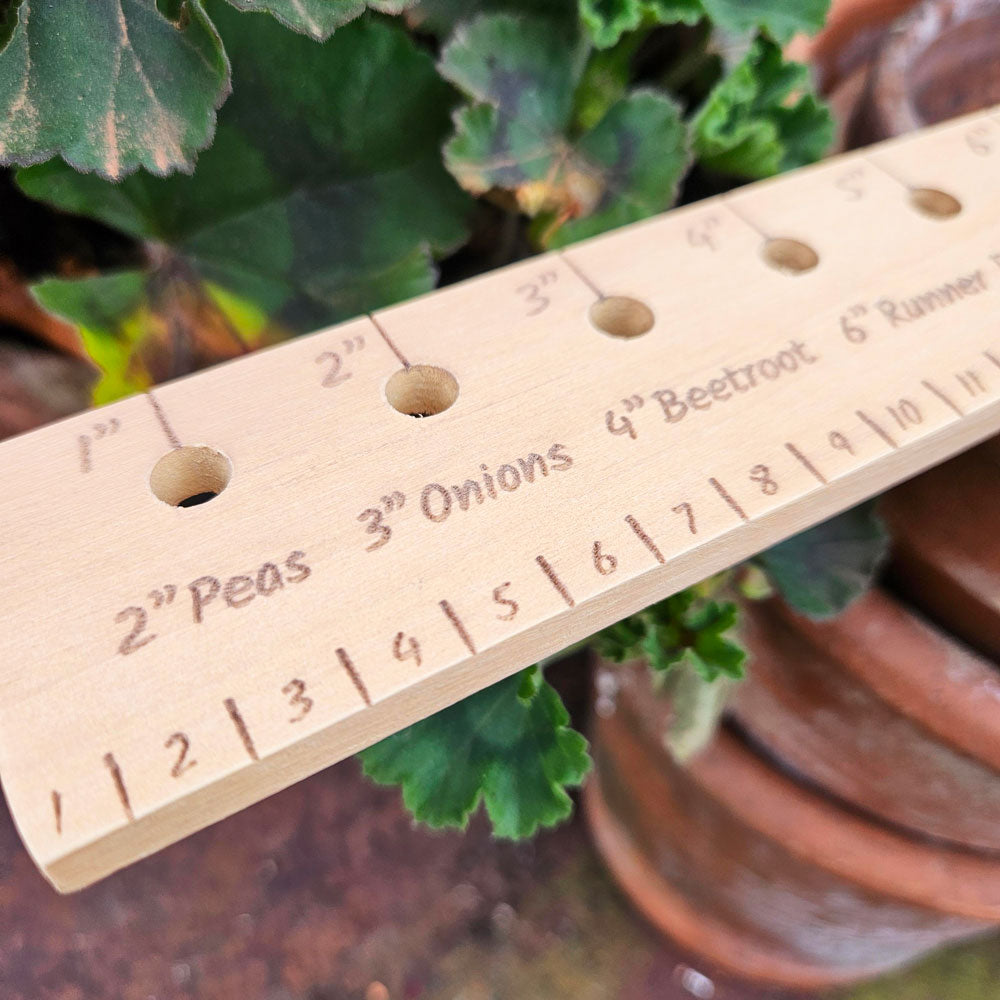 Close up of vegetable planting ruler