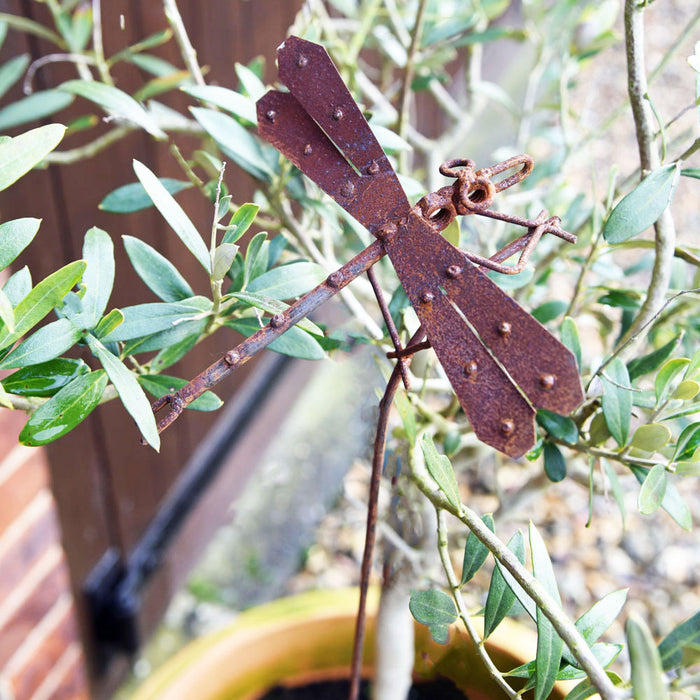 Dragonfly garden plant stake.