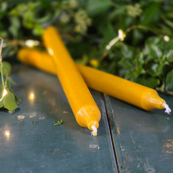 Two mustard coloured Danish dinner candles on a table surrounded by foliage.