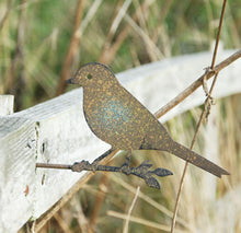 Rusty Iron Song Bird Sculpture Garden Art