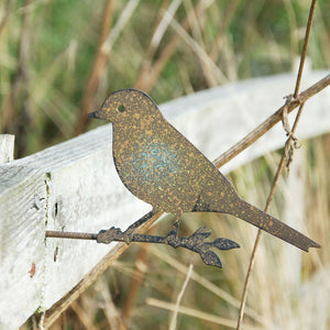 Rusty Iron Song Bird Sculpture Garden Art