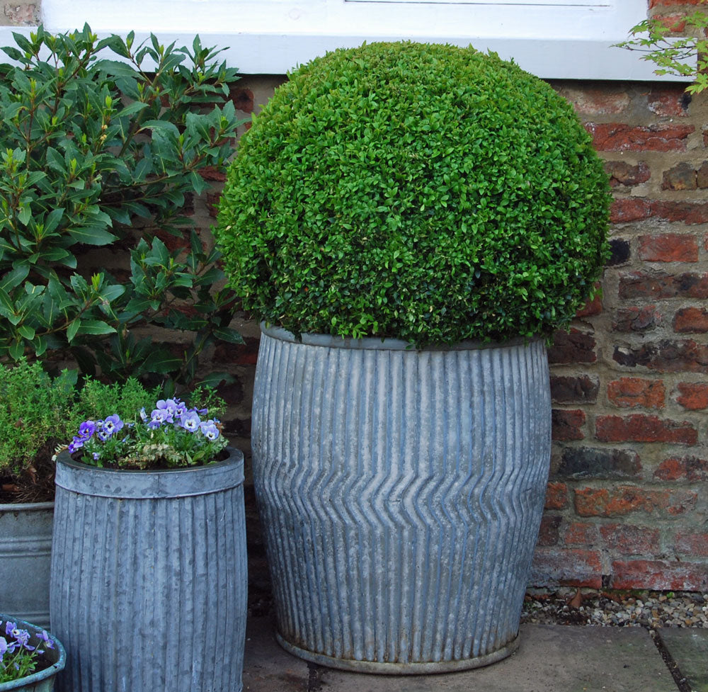 Classic antique design washing dolly tub garden planter (Sold out)