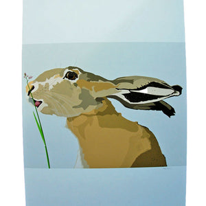 Hare Nibbling Poster Print