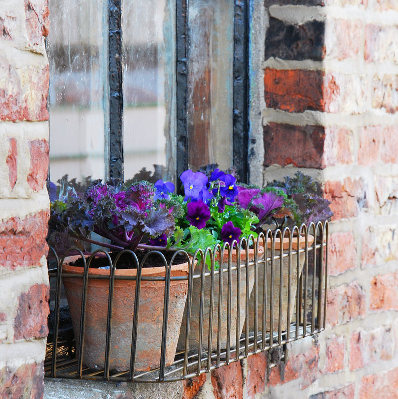 Iron Railings Wall Plant Holder Trough