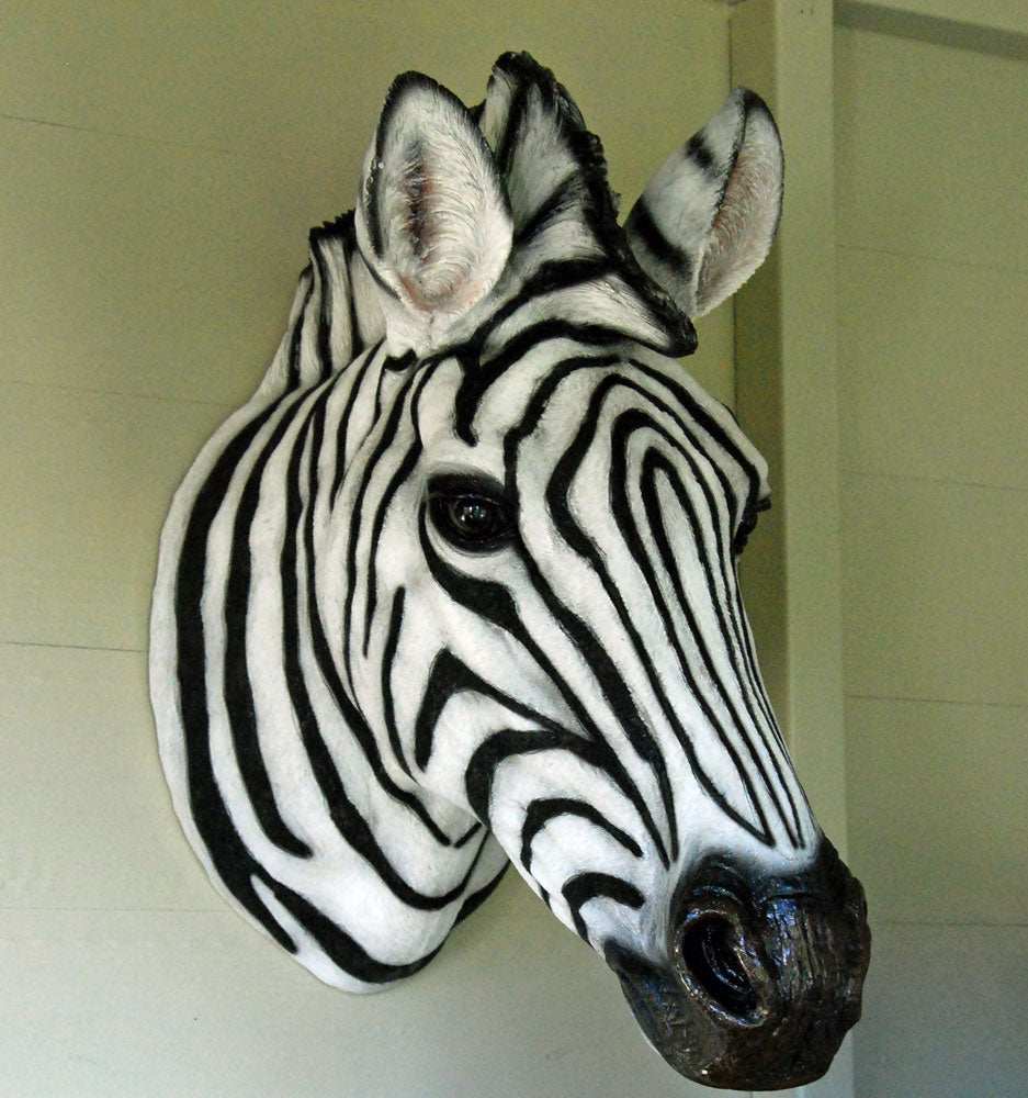 Zebra head animal wall art